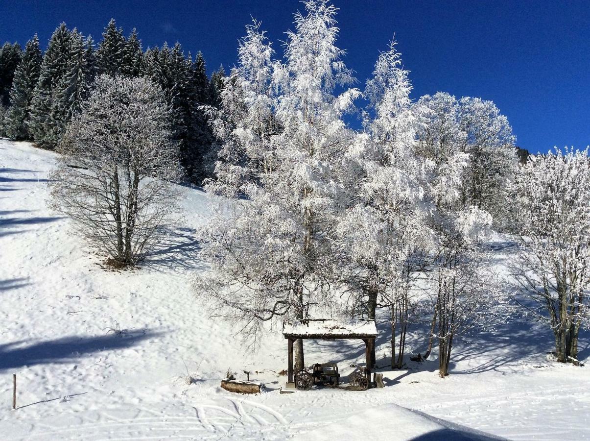 Le Refuge Villa Cordon Dış mekan fotoğraf