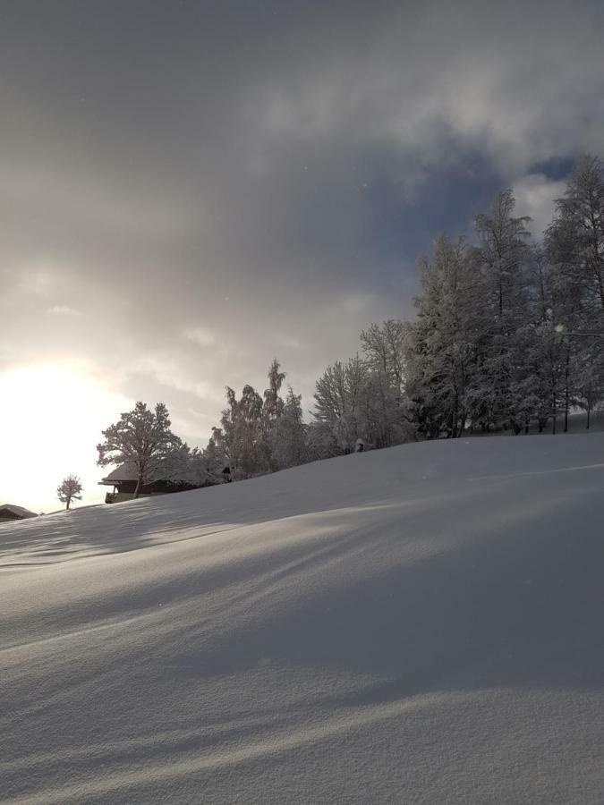 Le Refuge Villa Cordon Dış mekan fotoğraf